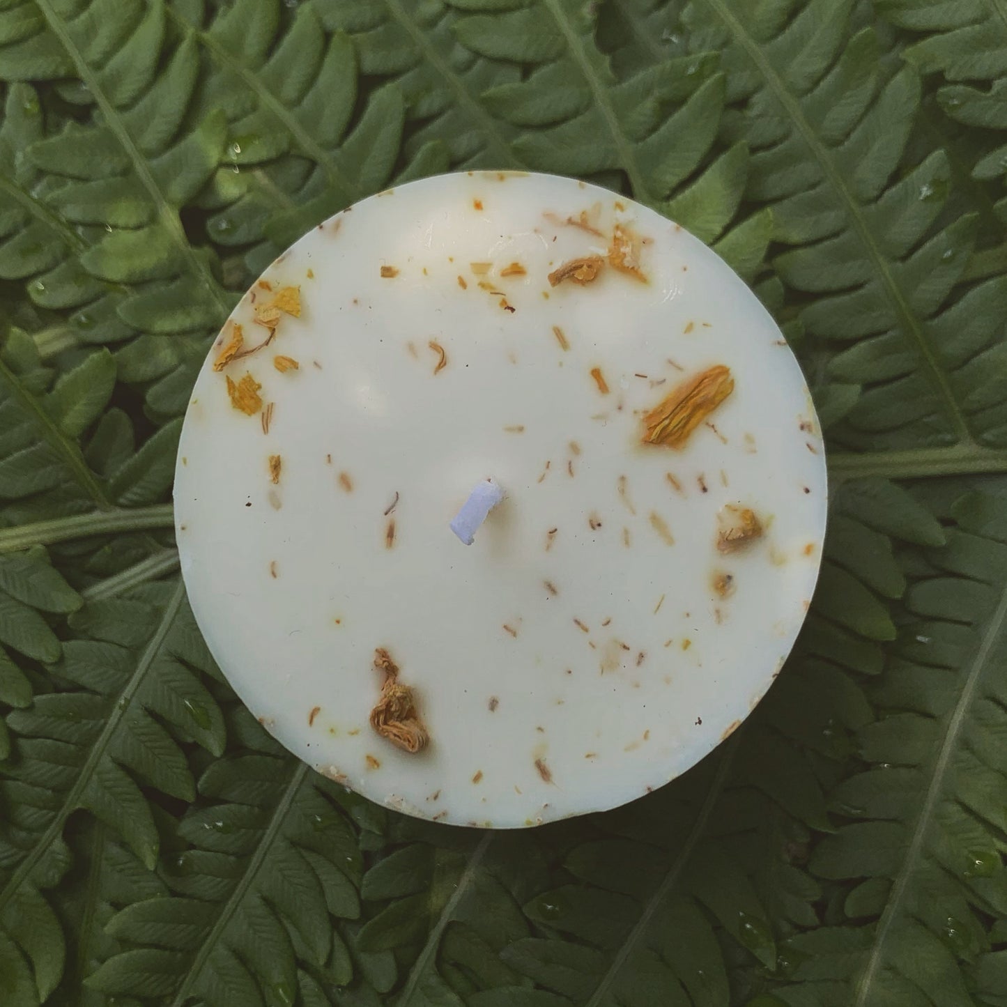 Sunshine Mini Solar Spell Candle | Chamomile, Neroli + Tangerine | Joy, Prosperity + Motivation | Handmade with Soy Wax