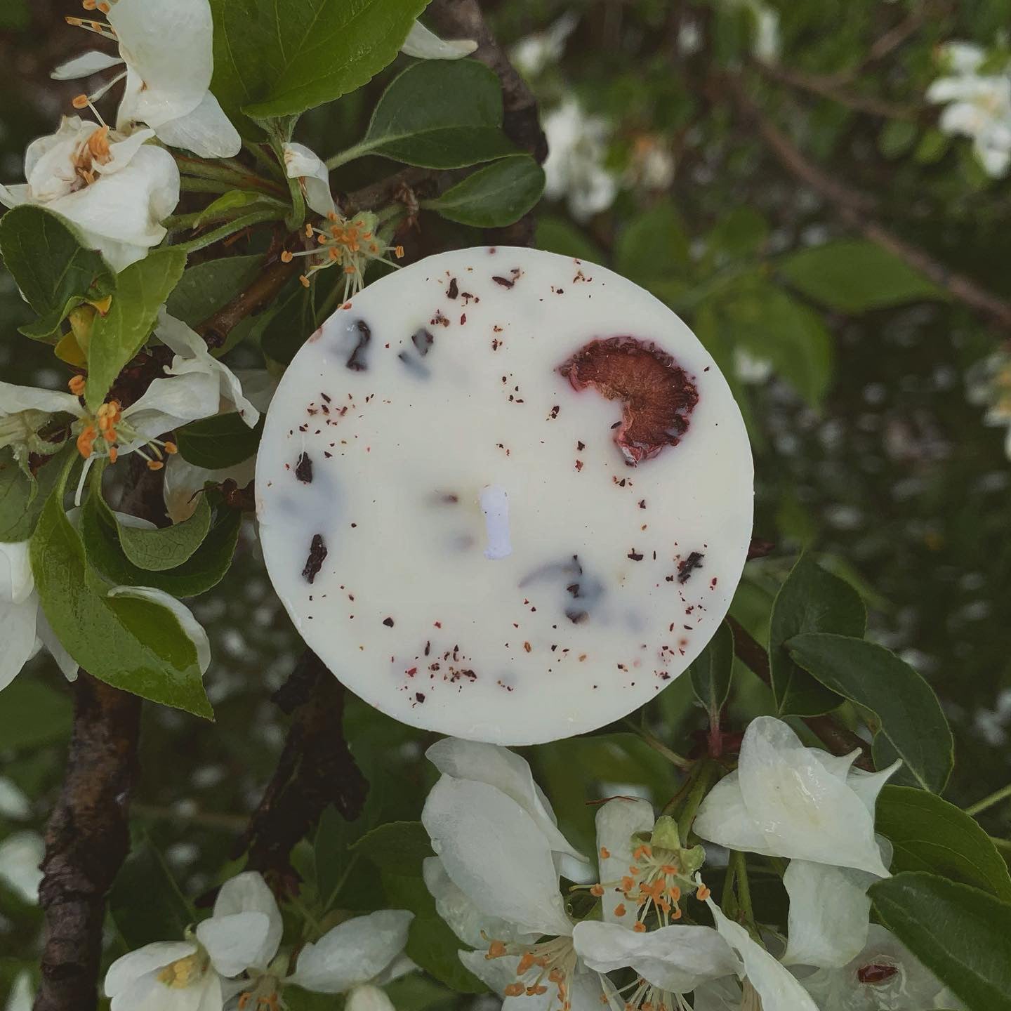 Romance Mini Spell Candle | Gardenia, Honeysuckle + Strawberry | Self-Love + Sensuality | Handmade with Soy Wax