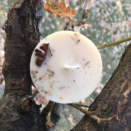 Wellness Mini Spell Candle | Eucalyptus, Ginger + Star Anise | Focus, Clarity + Study Aid | Handmade with Soy Wax