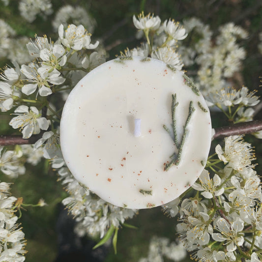 Protection Mini Spell Candle | Sandalwood, Blackberry + Clove | Warding + Shielding | Handmade with Soy Wax