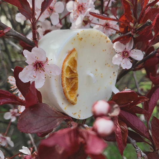 Prosperity Mini Spell Candle | Bergamot, Orange + Patchouli | Abundance, Creativity + Success | Handmade with Soy Wax