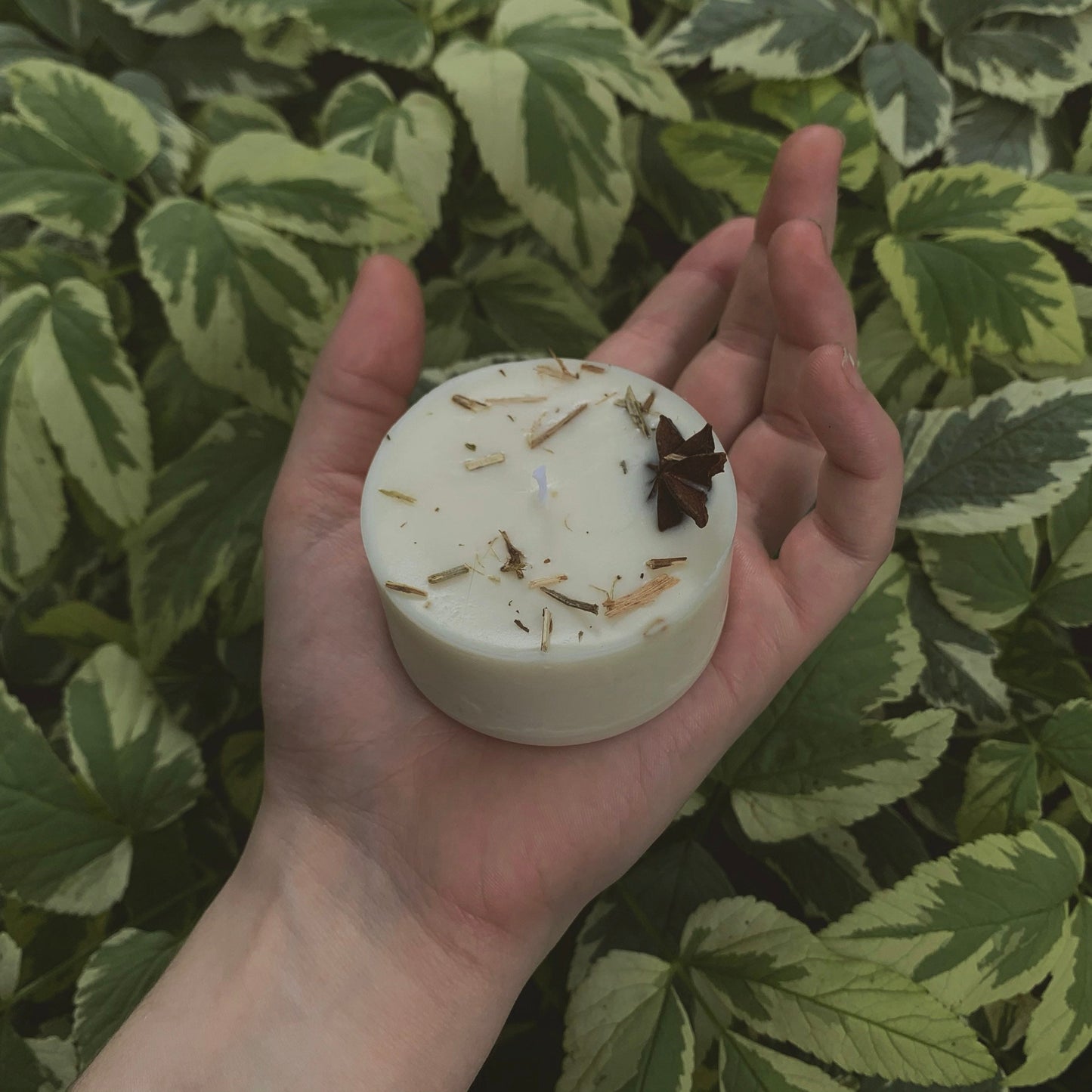 Wellness Mini Spell Candle | Eucalyptus, Ginger + Star Anise | Focus, Clarity + Study Aid | Handmade with Soy Wax