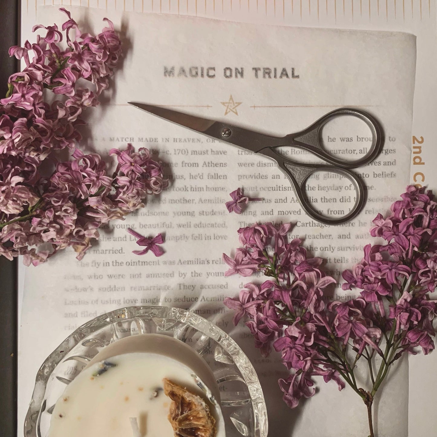 Blind Date With A Book | Green Witchcraft + Herbal Magick | A Cozy Care Package | Tea + Spell Candles Included