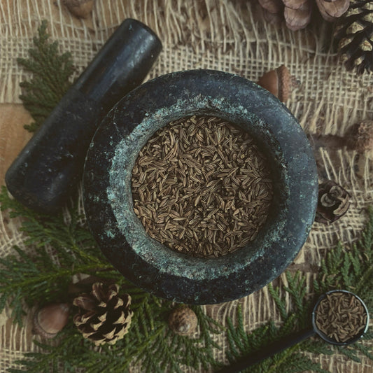 Caraway Seeds: The magical uses and metaphysical properties of Persian Cumin