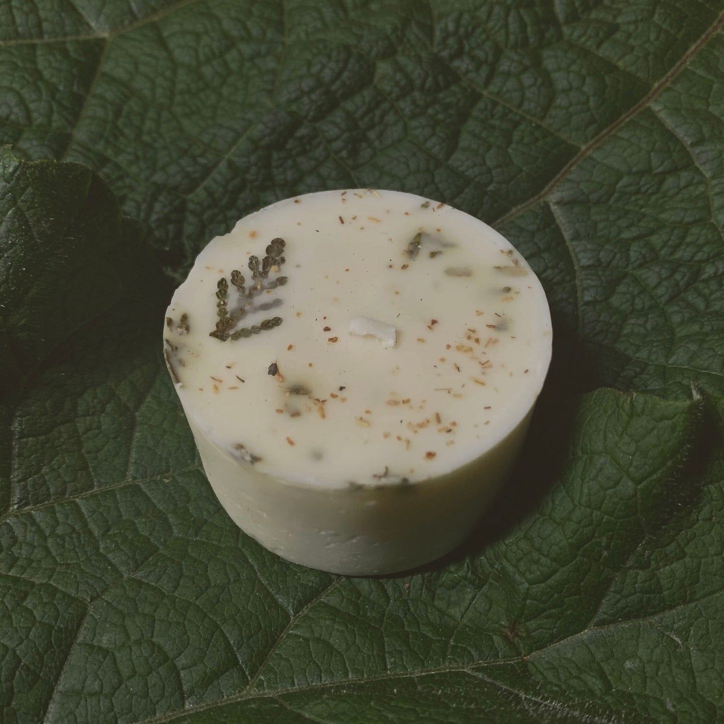 Cleanse Mini Spell Candle | Cedar Leaf, Rosemary + Chamomile | Ultra-Purifying + Spiritual Opening | Made with Soy Wax